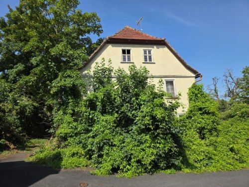 Bild - 