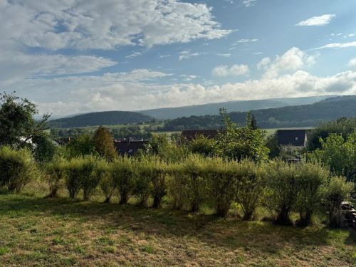 Bild - Büro Praxis Nagestudio Kosmetik-Studio 1-Zimmer-Mietwohnung mit herrlichem Ausblick in 97708 Bad Bocklet, Erstbezug (ID 1309)