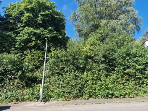 Bild - Grundstück in Maßbach