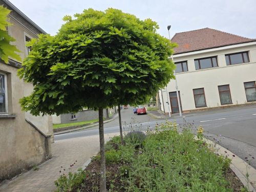 Bild - Großzügiges Wohnhaus in 96126 Ermershausen Haßfurt (ID 10536)