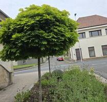 Großzügiges Wohnhaus in 96126 Ermershausen Haßfurt (ID 10536)