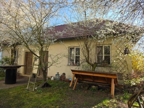 Bild - 8 Zimmer Einfamilienhaus zum Kaufen in Wasserlosen