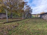 Bild - 