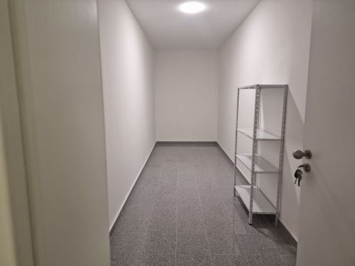 Bild - 