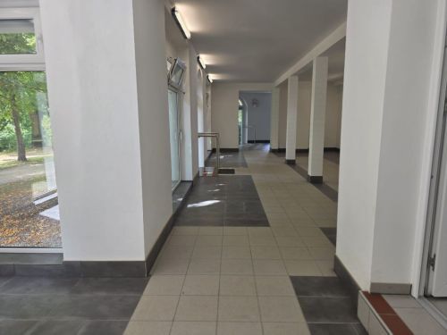 Bild - 