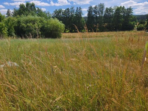 Bild - Grundstück in Bad Kissingen zum Kaufen