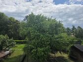 Bild - 