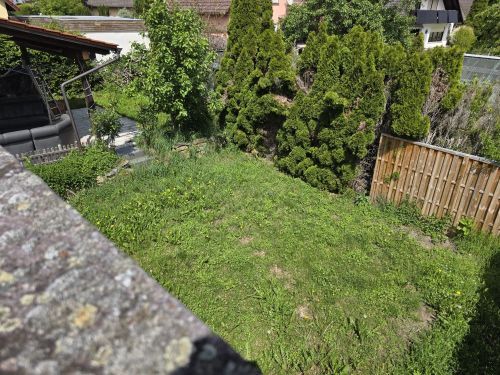 Bild - 