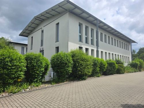 Bild - 