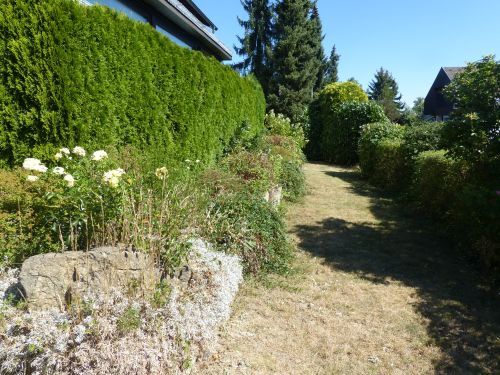 Bild - 