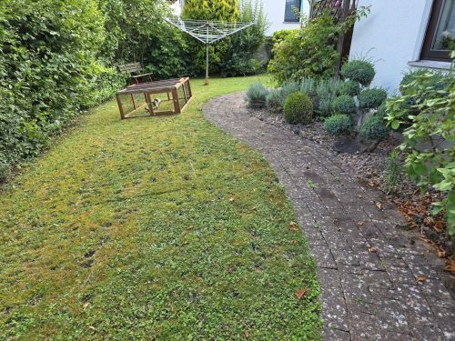 Bild - 