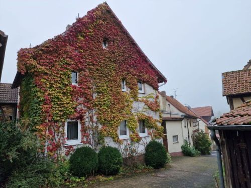 Bild - Schnuffiges Einfamilienhaus + Garten mit Gartenhaus in 97633 Aubstadt-Gollmuthhausen Bad Neustadt (21 km) und Bad Königshofen (11 km) (ID 10075)
