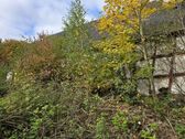 Bild - 