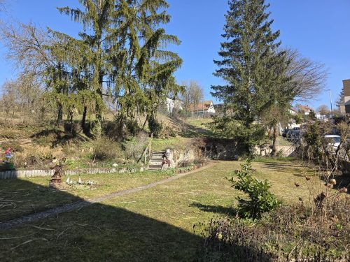 Bild - 