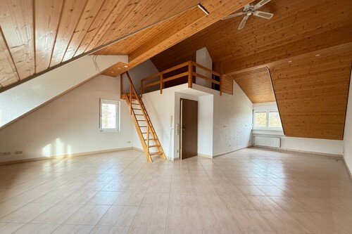 Dachstudio - 