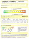 Energieausweis - 