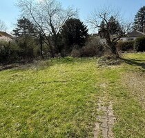 Hofheim: Sahnestück!! Top Grundstück am Fuße des Rosenberg