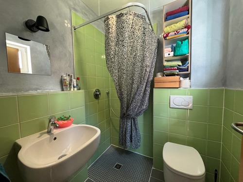 Gäste-Duschbad Erdgeschoss - 