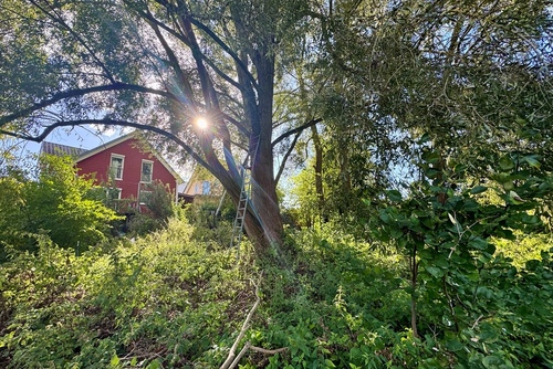 Grundstück (Pacht) - 