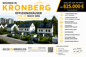 BV-Kronberg - 