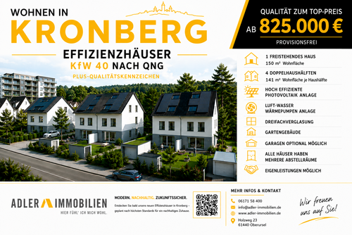BV-Kronberg - 