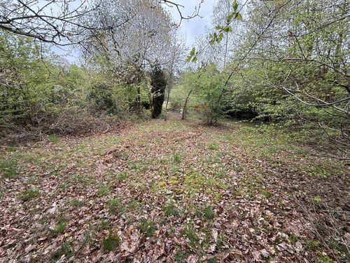 Blickrichtung West - Grundstück in Kelkheim