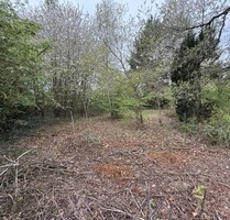 Kelkheim: Hier erfüllen Sie Ihren Traum! Idyllisches Grundstück im Wochenendgebiet