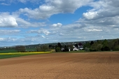 Randlage - 