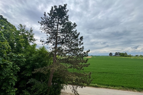 Aussicht Loggia - 