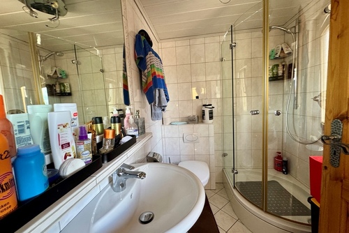 Gäste-Duschbad Erdgeschoss - 