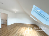 Dachstudio - 