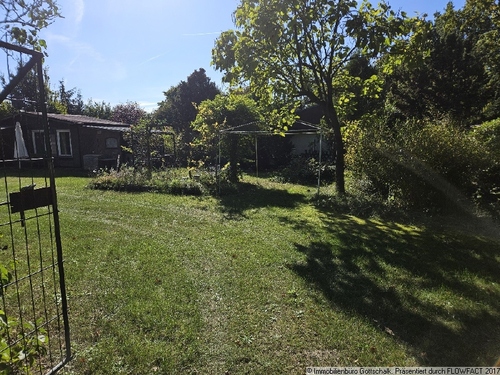 Blick in den Garten - 