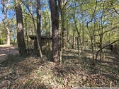 Natur-Pur - Freizeitgrundstück in Wandlitz / OT Prenden