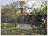 Gartendetail - 