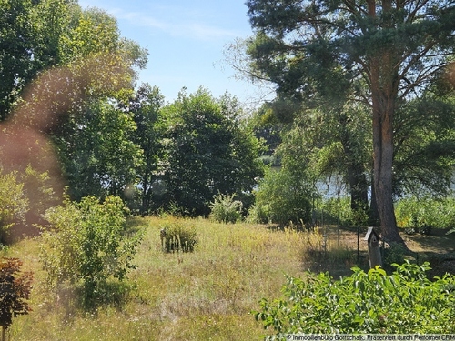 Blick vom Haus auf den See - 
