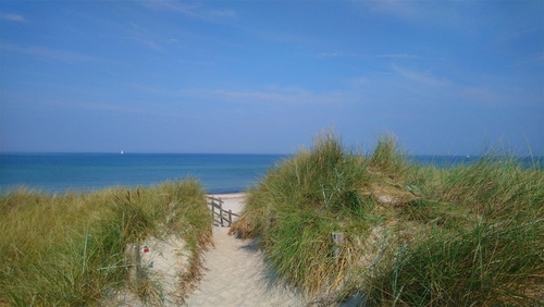 Prerow Landschaft (1) - 