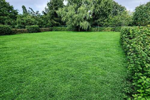 Foto - Grundstück zu verkaufen in Berlin 199.000,00 € 448 m²