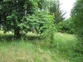 Gartenbereich - 