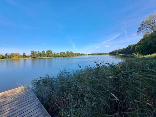 Bauernsee - Grundstück zum Kaufen in Grünheide (Mark)
