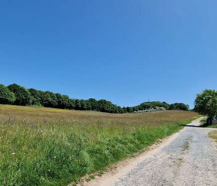 Zum Lotsenberg - Einfamilienhaus mit 160,00 m² in Mönchgut zum Kaufen