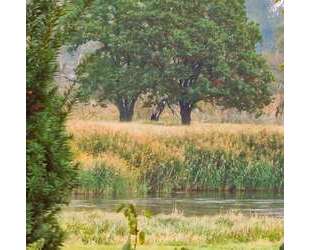 TRAUMHAFT RENOVIERTE HOFSTELLE - MIT CHARME UND SCHEUNE - UND MIT 4 WOHNEINHEITEN - Bleyen-Genschmar