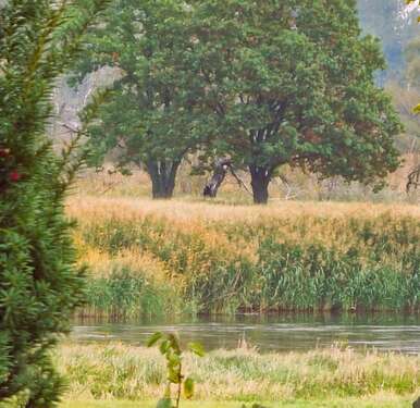 Oderblick aus dem OG - 