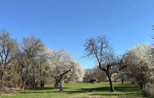 Blick hinter die Scheune - 4 WOHNEINHEITEN SIND MÖGLICH - IN TRAUMHAFT RENOVIERTER HOFSTELLE...
