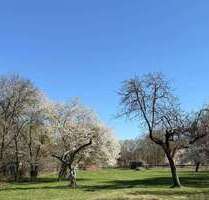 4 WOHNEINHEITEN SIND MÖGLICH - IN TRAUMHAFT RENOVIERTER HOFSTELLE... - Bleyen-Genschmar