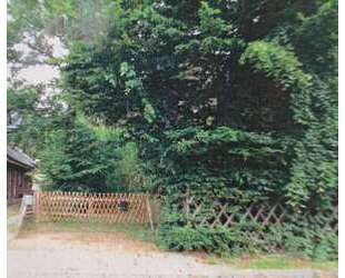 BAUTRÄGERFREIES GRUNDSTÜCK IN PETERSHAGEN-EGGERSDORF