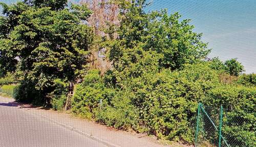 Ansicht 2 - Grundstück zum Kaufen in Hoppegarten