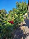Blumengarten - 