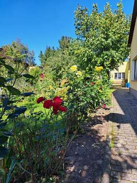 Blumengarten - 