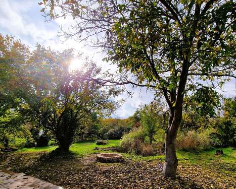 Gartenblick - 