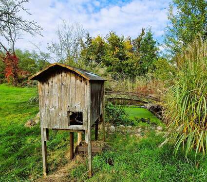 im Garten - 